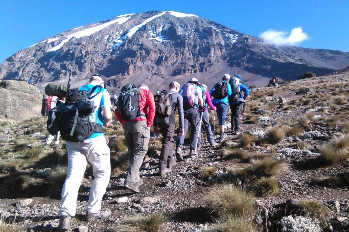 Climb Mount Kilimanjaro